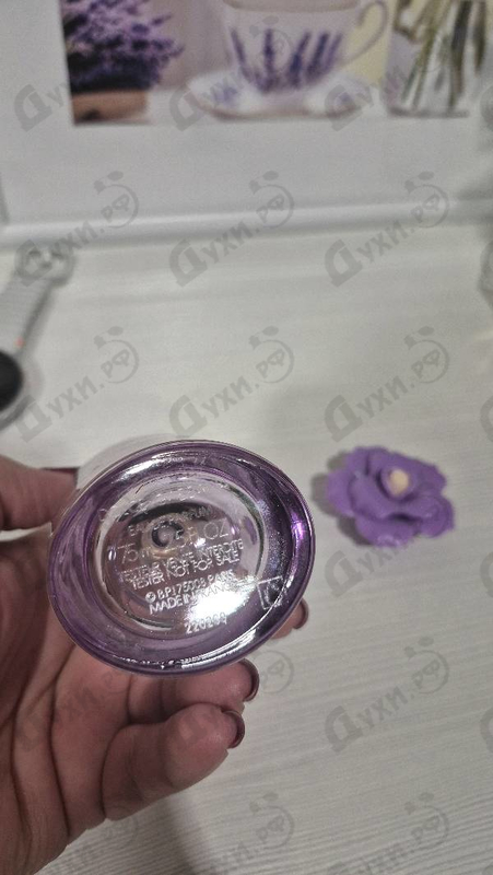 Купить Dolce Peony от Dolce & Gabbana