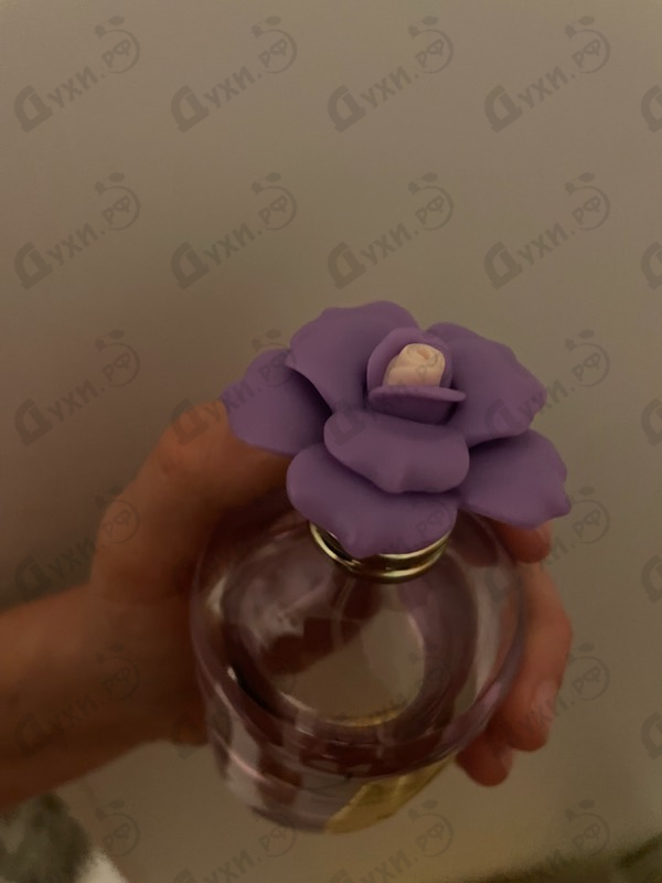 Отзывы Dolce & Gabbana Dolce Peony