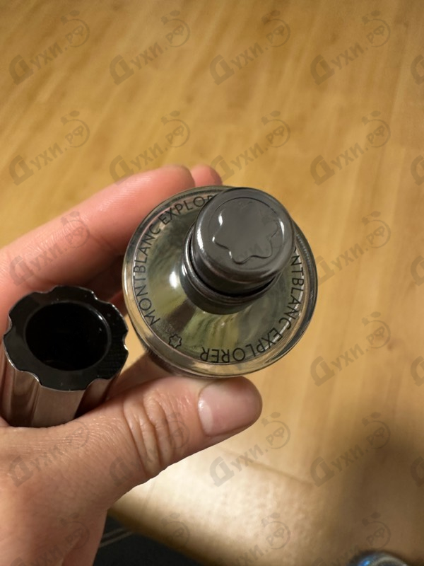 Купить Explorer от Mont Blanc