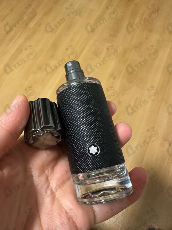 Купить Explorer от Mont Blanc