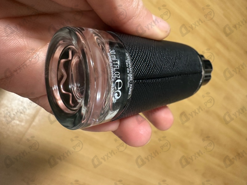 Купить Explorer от Mont Blanc