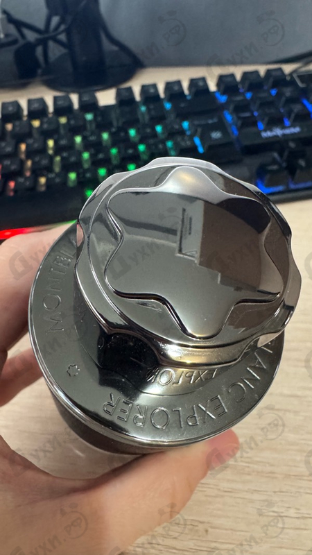 Купить Mont Blanc Explorer