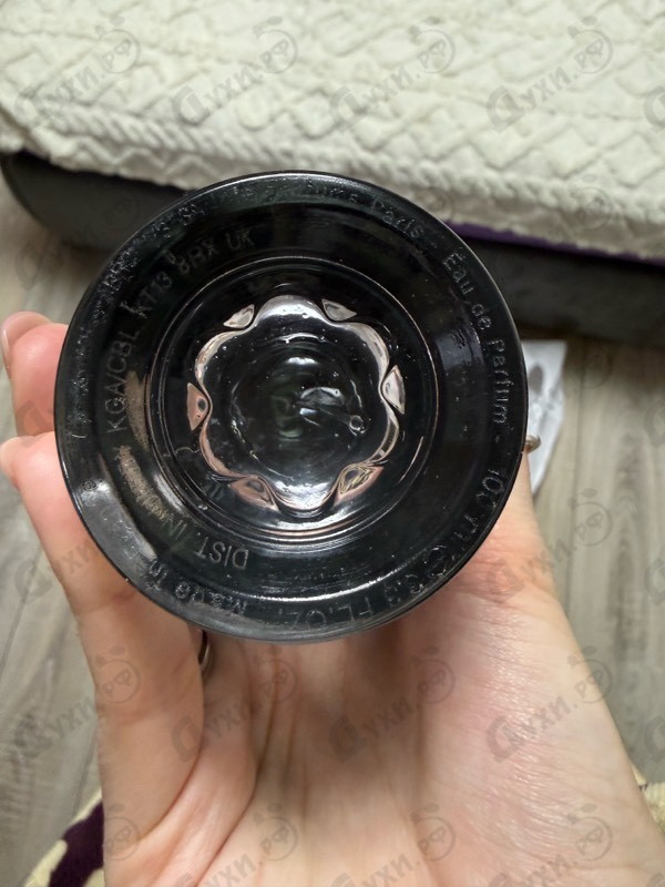 Купить Explorer от Mont Blanc