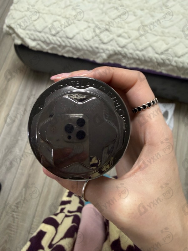 Купить Mont Blanc Explorer