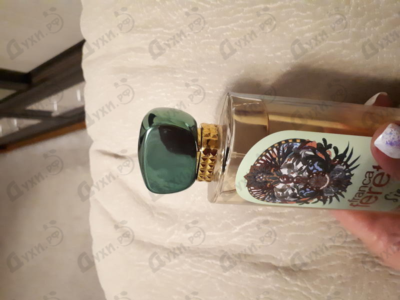 Духи Франка Феретти Сиеста от Brocard Отзывы Brocard Франка Феретти Сиеста