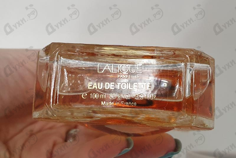 Купить Lalique Lalique de Lalique Millenium (20th Anniversary Limited Edition) Купить Lalique de Lalique Millenium (20th Anniversary Limited Edition) от Lalique