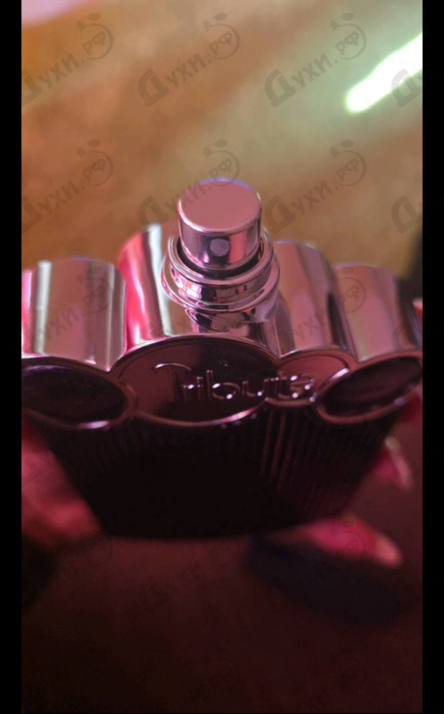 Купить Tribute Blue от Afnan