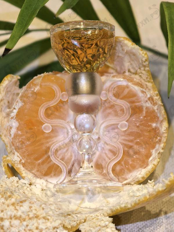 Купить Oh La La от Azzaro