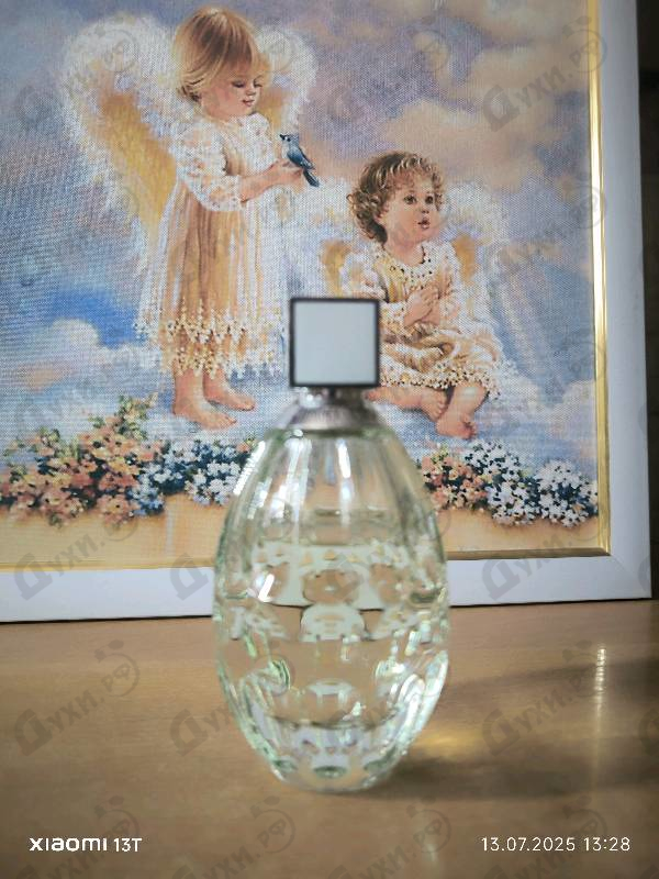 Отзывы Jimmy Choo Floral