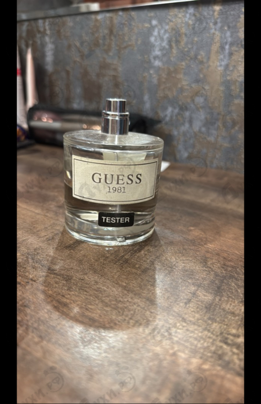 Купить Guess Guess 1981