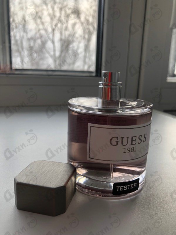 Купить Guess Guess 1981