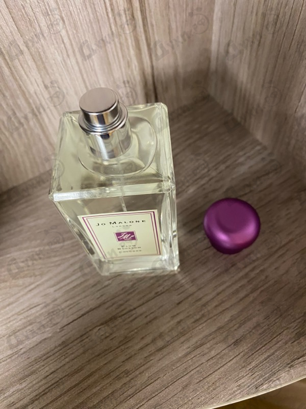 Купить Plum Blossom (2015) от Jo Malone