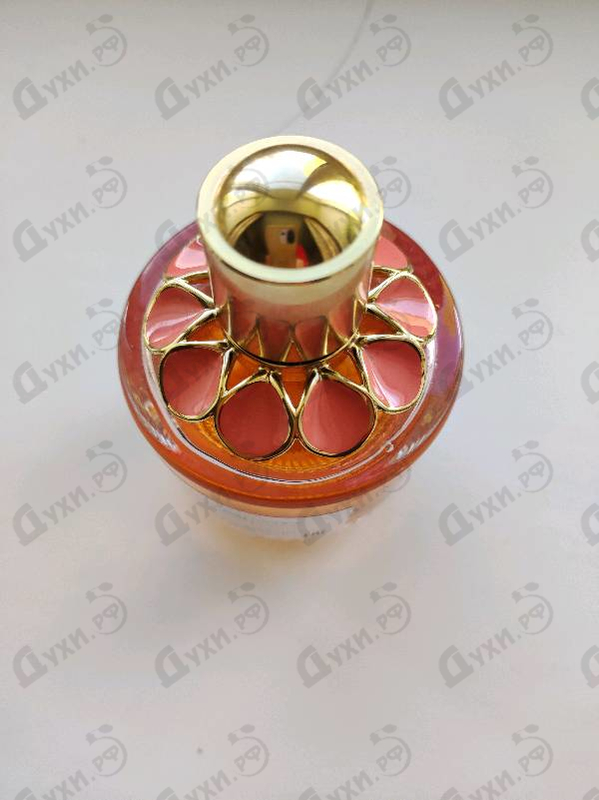 Купить Elie Saab Girl Of Now Forever