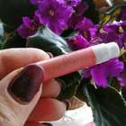 Отзывы Elie Saab Girl Of Now Forever