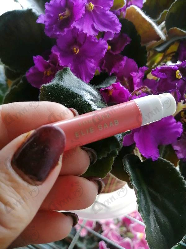 Купить Girl Of Now Forever от Elie Saab