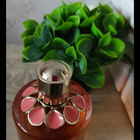 Отзыв Elie Saab Girl Of Now Forever