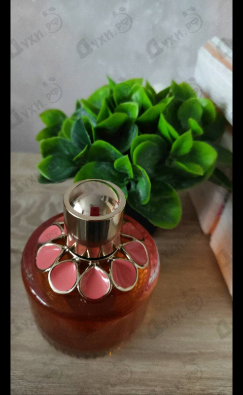 Парфюмерия Girl Of Now Forever от Elie Saab