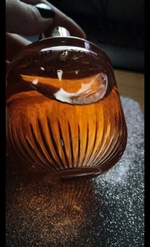 Духи Girl Of Now Forever от Elie Saab