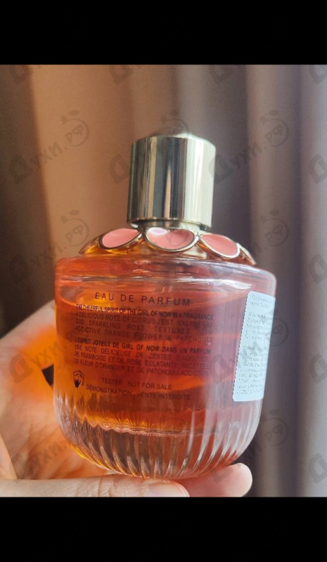 Купить Girl Of Now Forever от Elie Saab