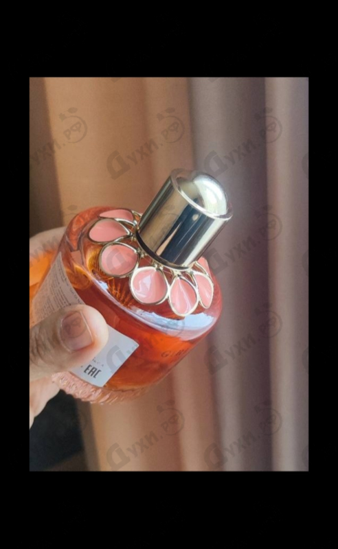 Духи Girl Of Now Forever от Elie Saab