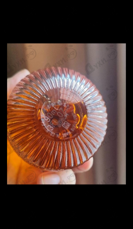 Парфюмерия Girl Of Now Forever от Elie Saab