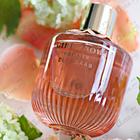 Отзывы Elie Saab Girl Of Now Forever