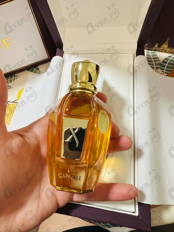 Купить Xerjoff La Capitale