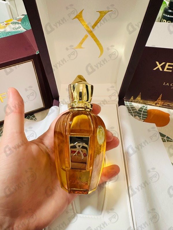 Парфюмерия La Capitale от Xerjoff