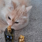 Духи Eau Du Soir 2018 от Sisley