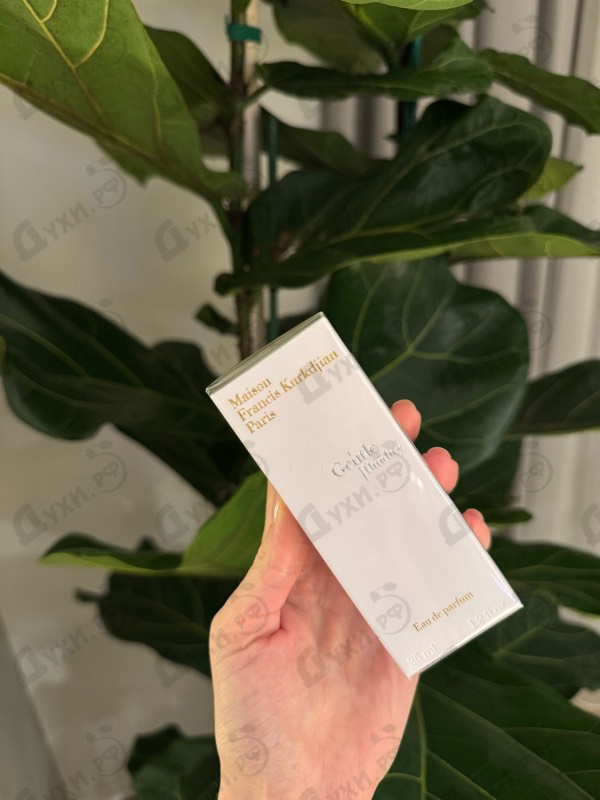 Купить Maison Francis Kurkdjian Gentle Fluidity Silver