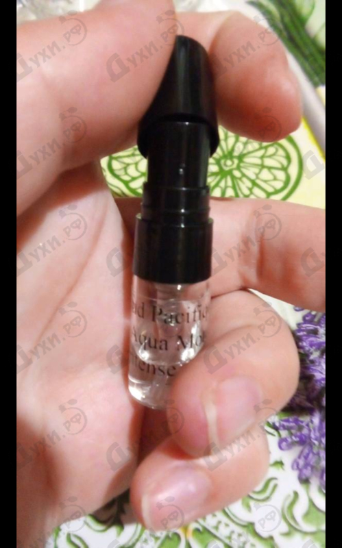 Отзывы Sud Pacifique Aqua Motu Intense