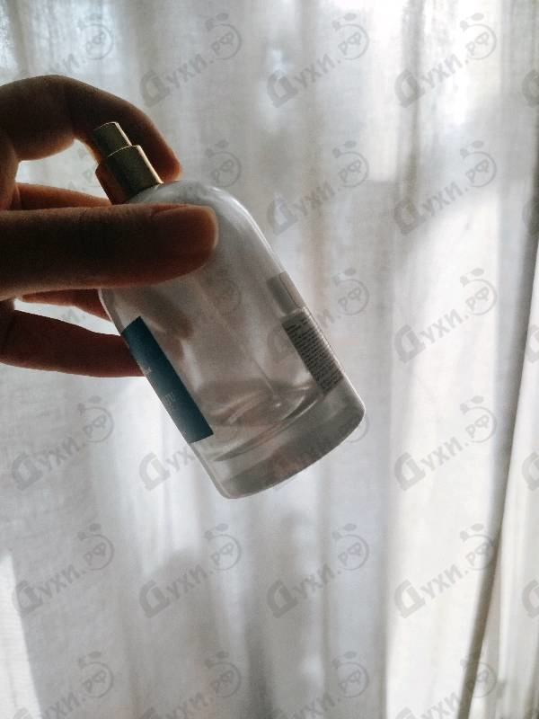 Отзыв Sud Pacifique Aqua Motu Intense