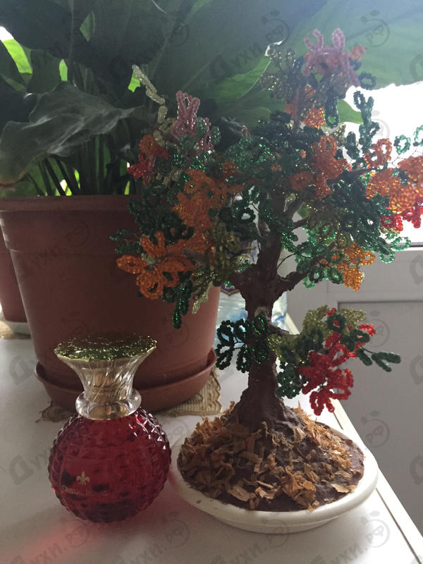 Парфюмерия Marina De Bourbon Cristal Royal Passion Духи Cristal Royal Passion от Marina De Bourbon