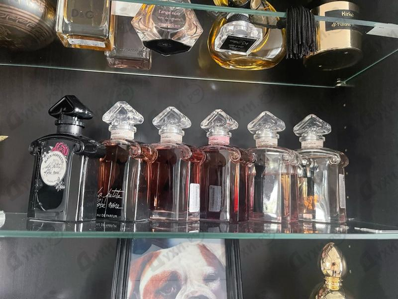 Купить La Petite Robe Noire Velours от Guerlain Отзыв Guerlain La Petite Robe Noire Velours