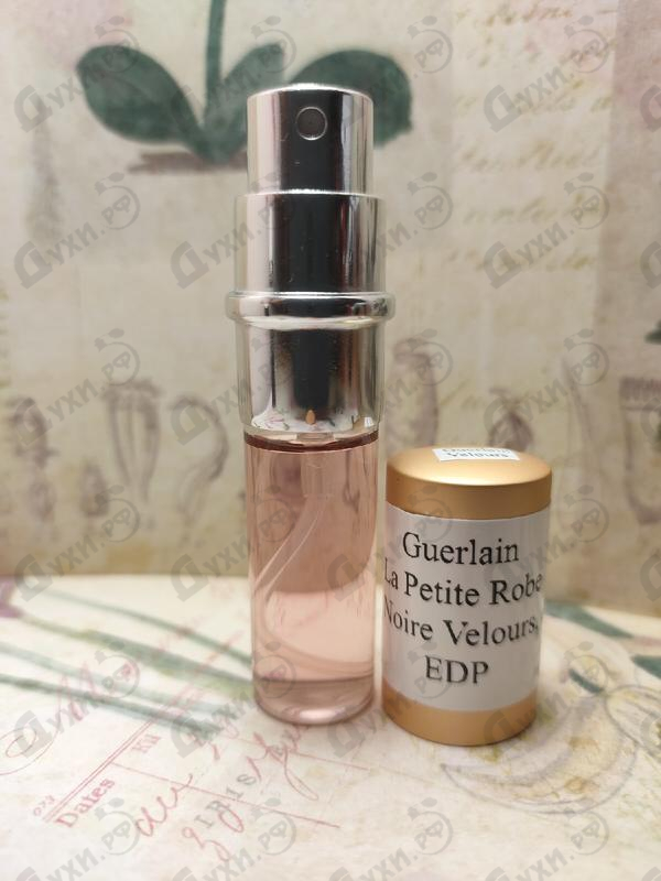 Парфюмерия La Petite Robe Noire Velours от Guerlain