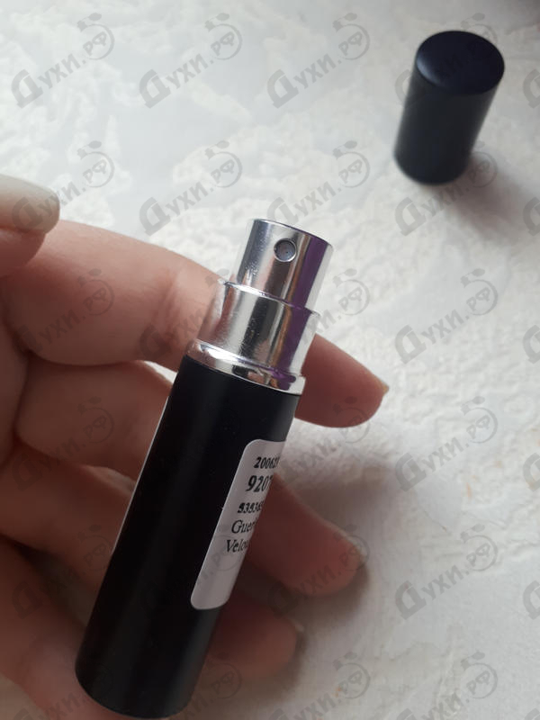 Парфюмерия La Petite Robe Noire Velours от Guerlain Парфюмерия Guerlain La Petite Robe Noire Velours