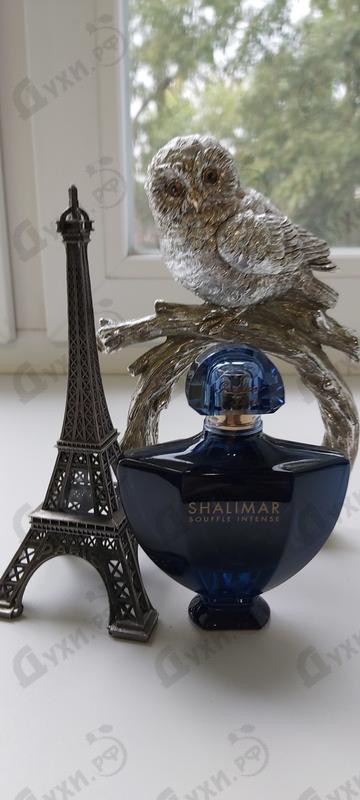 Отзывы Guerlain Shalimar Souffle Intense