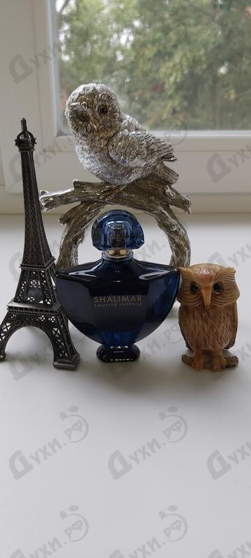 Отзывы Guerlain Shalimar Souffle Intense