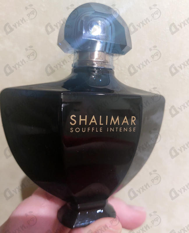 Парфюмерия Shalimar Souffle Intense от Guerlain