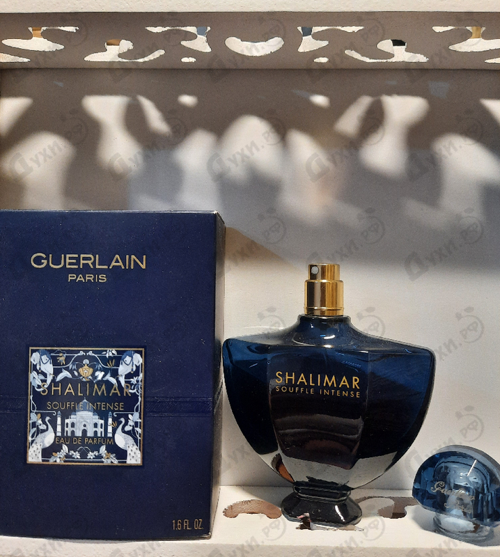 Купить Shalimar Souffle Intense от Guerlain