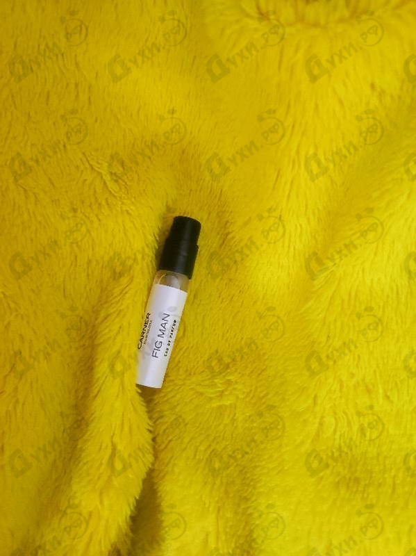 Отзывы Carner Barcelona Fig Man