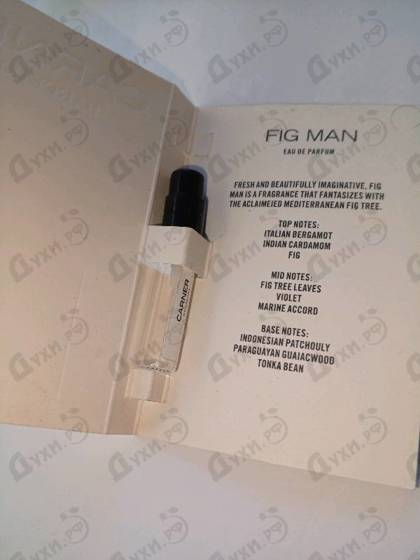 Отзыв Carner Barcelona Fig Man