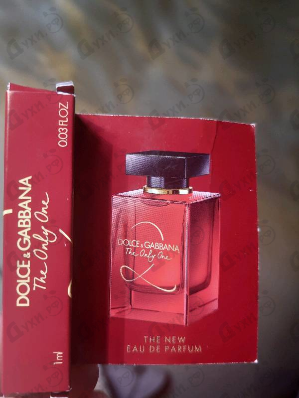 Парфюмерия Dolce & Gabbana The Only One 2