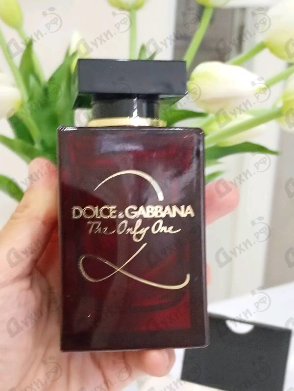 Отзывы Dolce & Gabbana The Only One 2