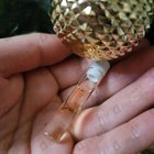 Отзывы Ivanka Tramp Ivanka Trump