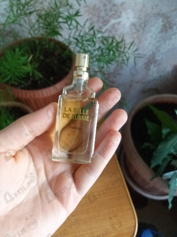 Купить Русская красавица от Новая Заря