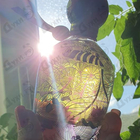 Отзывы Alexandre J Atelier d'Artistes E 5