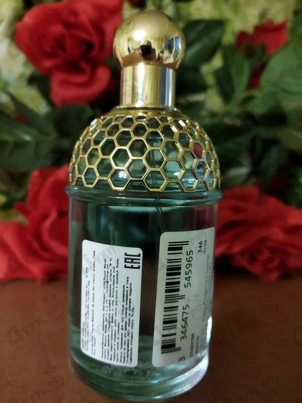 Парфюмерия Aqua Allegoria Coconut Fizz от Guerlain