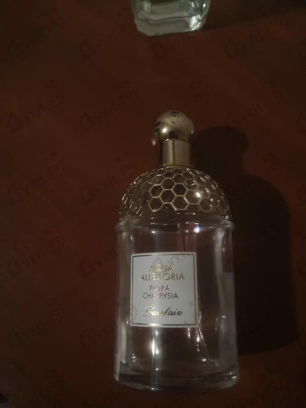 Купить Aqua Allegoria Flora Cherrysia от Guerlain