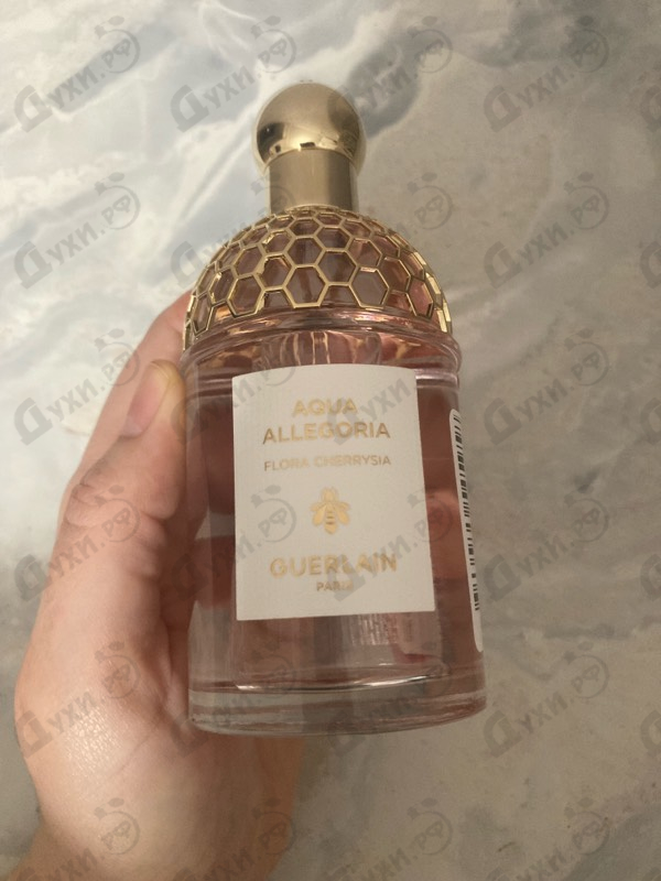 Купить Aqua Allegoria Flora Cherrysia от Guerlain